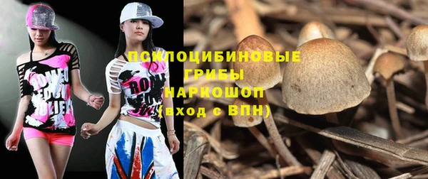 прущий лед Каменногорск