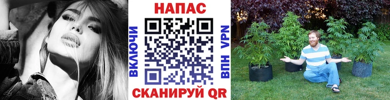 Бошки Шишки Ganja  Купить закладки  Великие Луки 